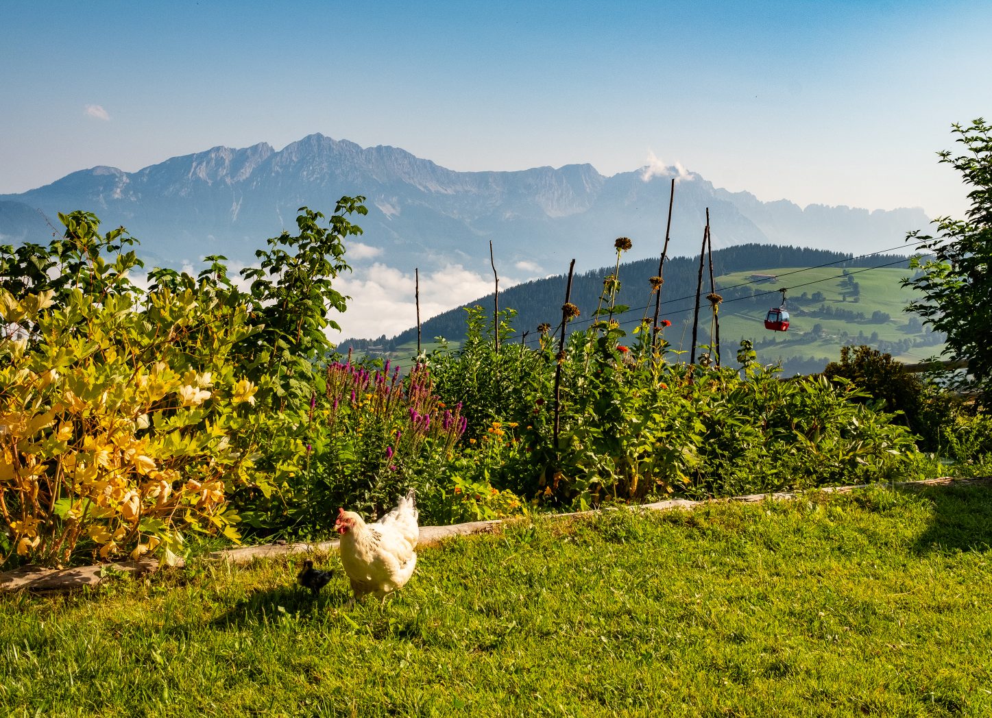 Hexenwasser Simonalm Eilight – Hexenwasser