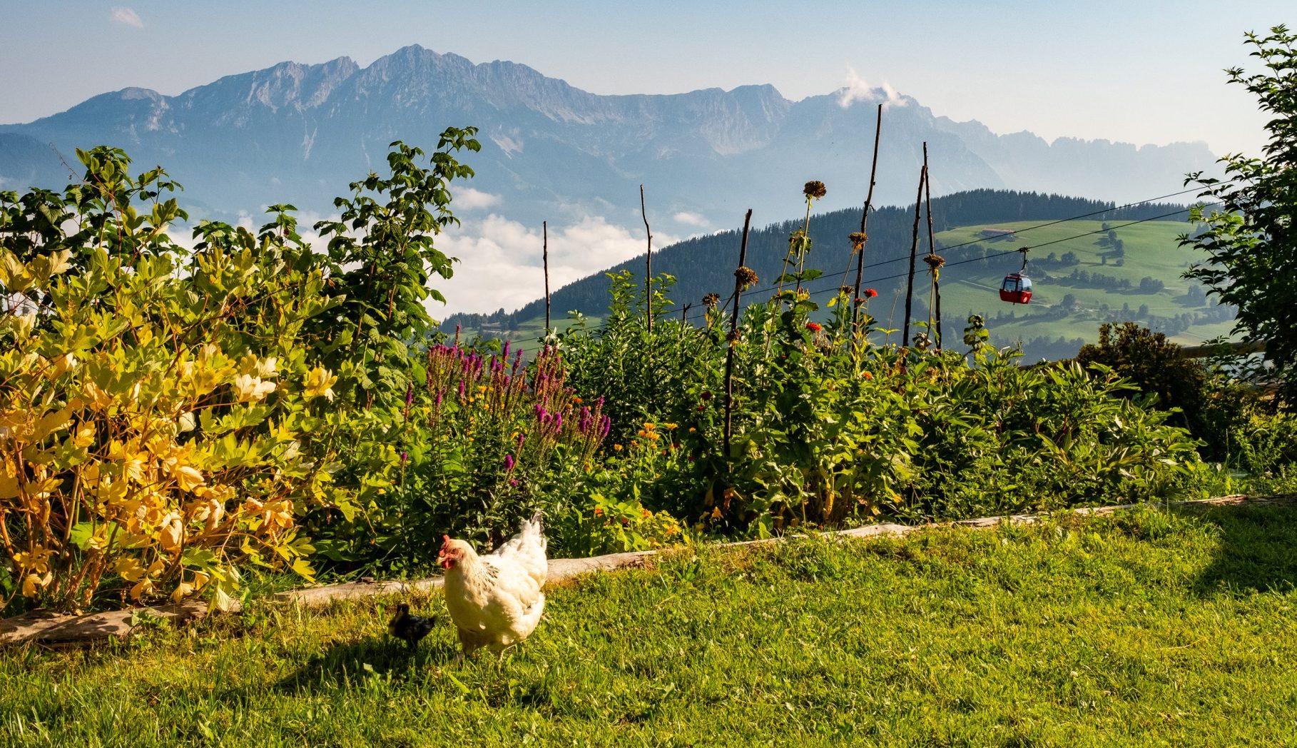 10 Hexenwasser Simonalm Eilight – Hexenwasser